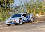 Mini Rally VXL Ford RS200