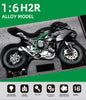 1:6 Kawasaki H2R Startup Sprayable Dynamic Alloy Diecast Model Bike with Sound and Light