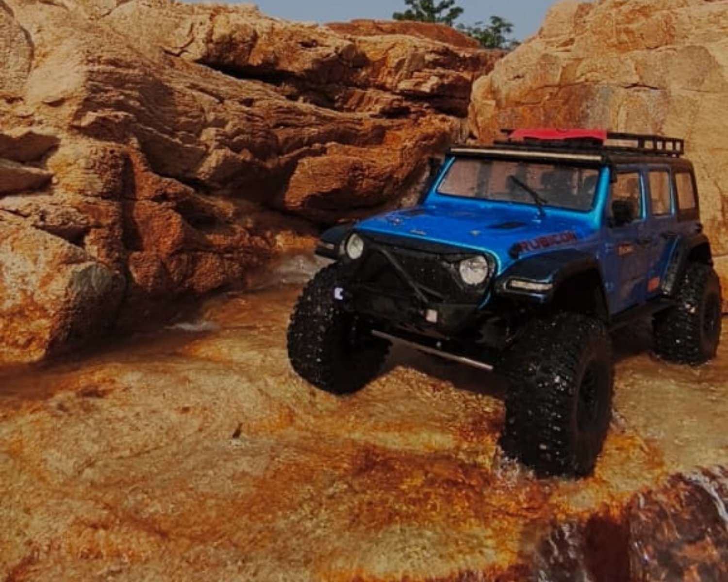 Rubicon Crawling Experience