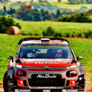 Citroen C3 1:7 light group RC Rally Car