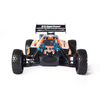 Wave Runner Buggy RC Gas Car 4WD